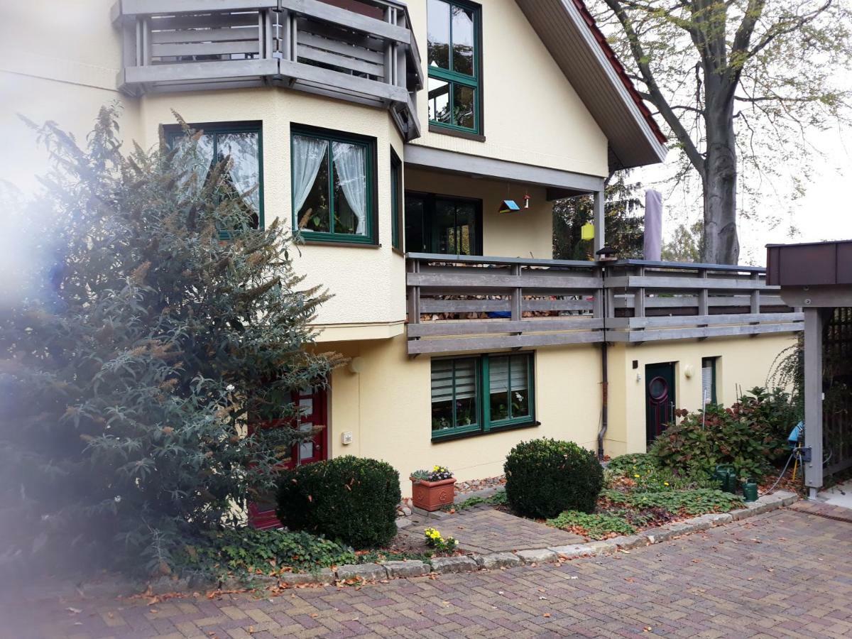 Ferienwohnung Oberloschwitz 德累斯顿 外观 照片